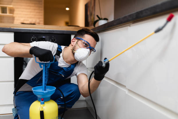 Best Local Pest Control Services  in Walworth, WI