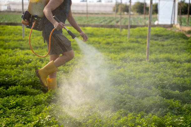 Best Pest Removal Services  in Walworth, WI