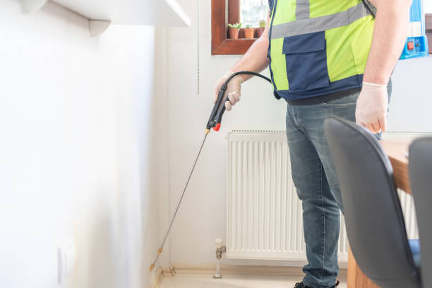 Wasp Removal Services in Walworth, WI